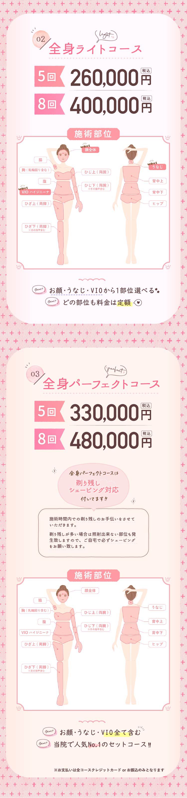 全身ライト、パーフェクト脱毛コース