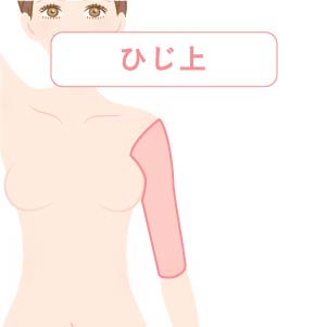 ひじ上(上腕)